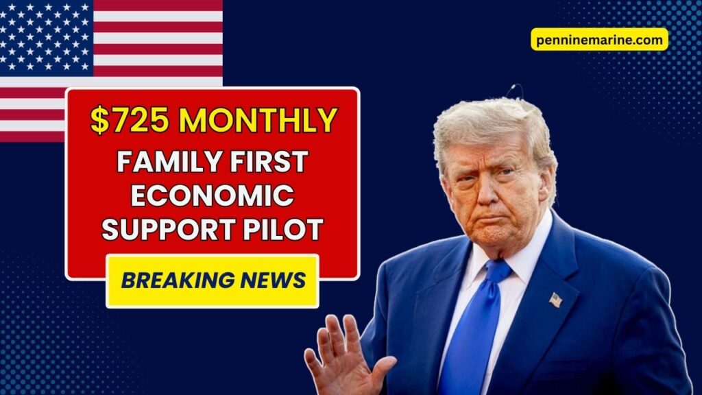 $725 Monthly Under Family First Economic Support Pilot - Who Is Eligible And When Will You Be Paid?