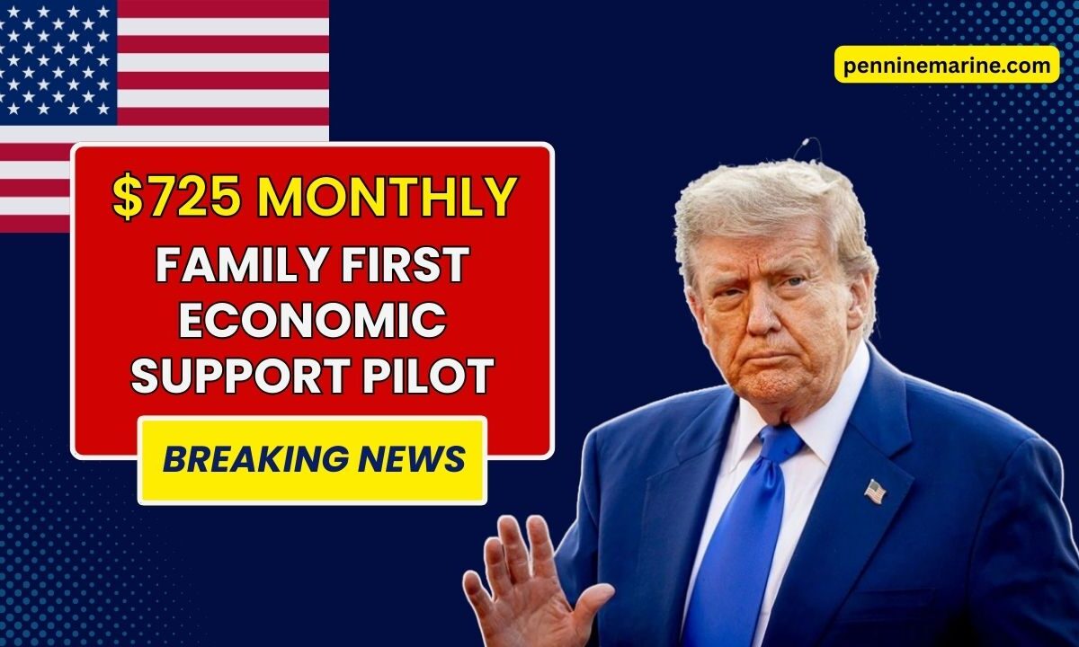 $725 Monthly Under Family First Economic Support Pilot - Who Is Eligible And When Will You Be Paid?